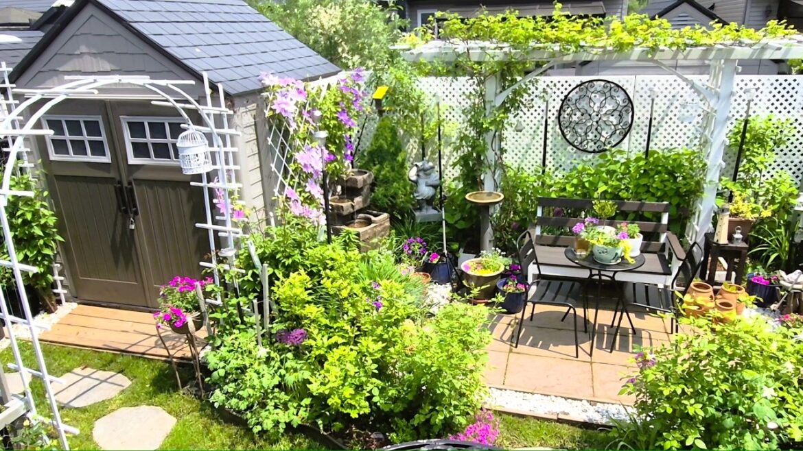 JUNE | RELAXING TINY BACKYARD GARDEN TOUR | June 16,2025 JUNE | RELAXING TINY BACKYARD GARDEN TOUR | June 16,2025