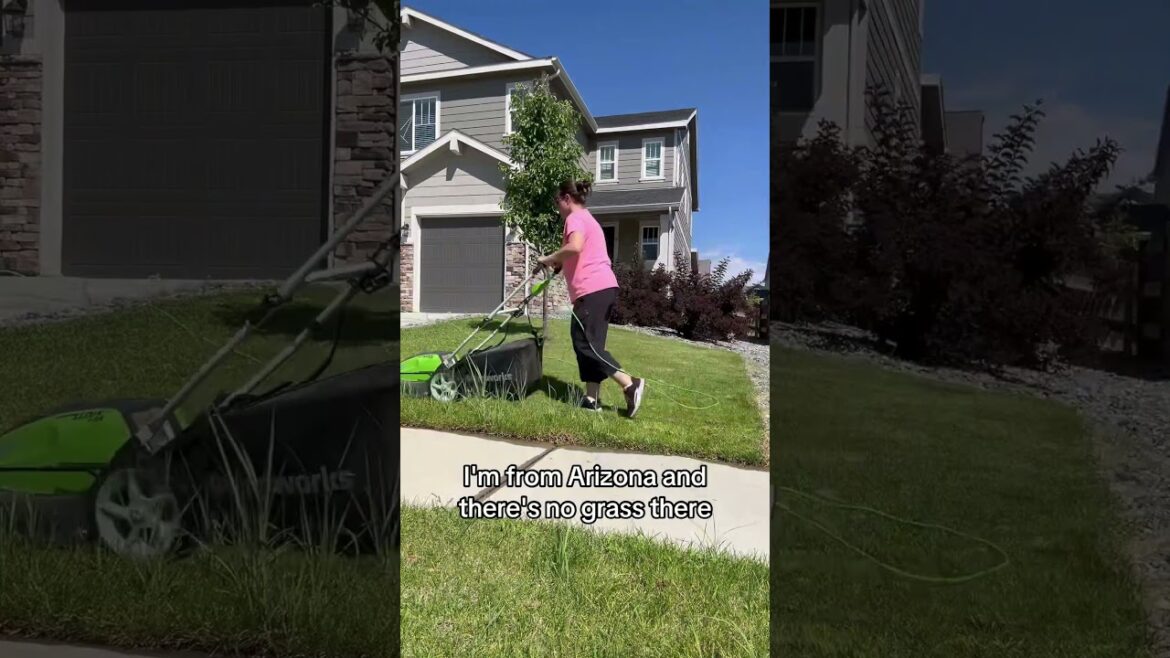 I hate mowing. #yardwork #mowing #ihatethis #funny #sarcasm I hate mowing. #yardwork #mowing #ihatethis #funny #sarcasm