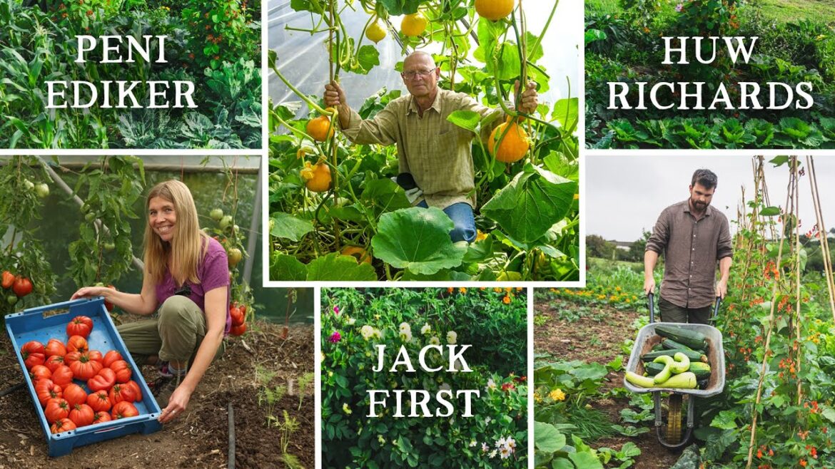 Composting & Hot Beds Masterclass with Huw Richards, Peni Ediker & Jack First (Online Course)