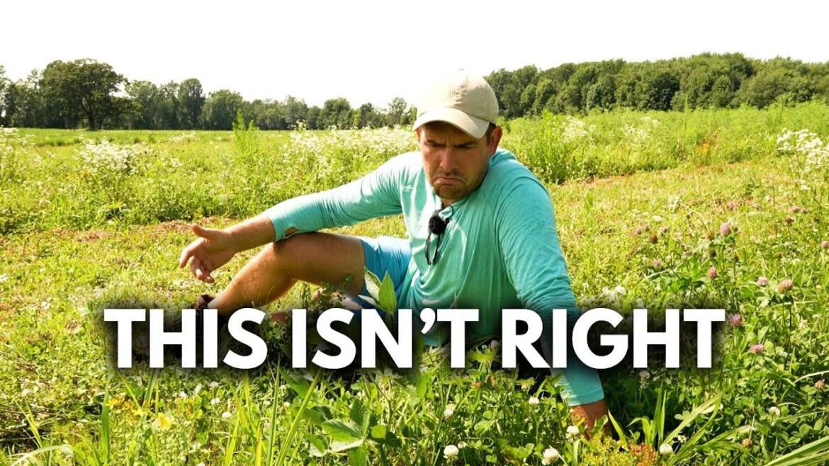 This Plant is a BIG PROBLEM! (Extreme Action Required)