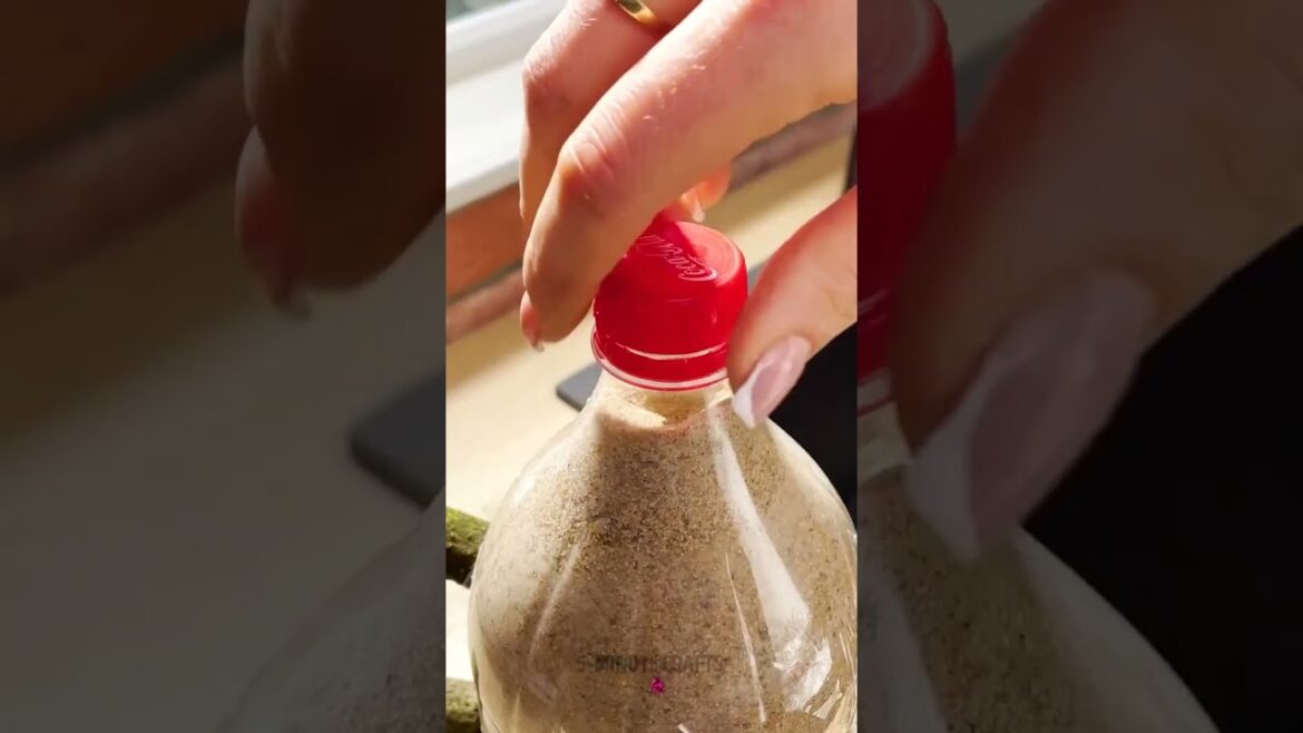 How To Reuse a Plastic Bottle To Make A Smart Planter Gadget!