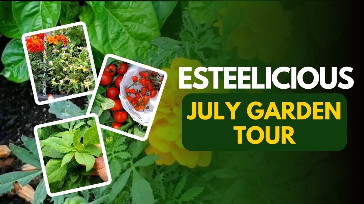 Our Container Garden Is THRIVING! 🌿 Full July Tour & Tips Our Container Garden Is THRIVING! 🌿 Full July Tour & Tips