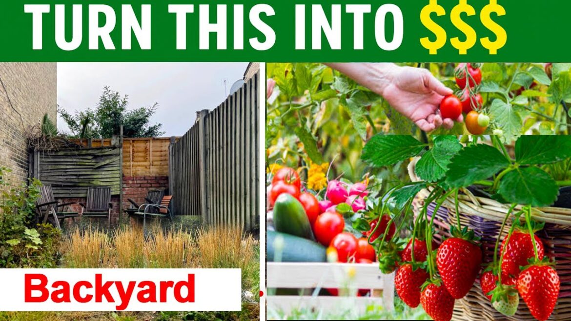 How I’m Turning My Backyard Garden Into a Profitable Business | Composting for Success How I’m Turning My Backyard Garden Into a Profitable Business | Composting for Success