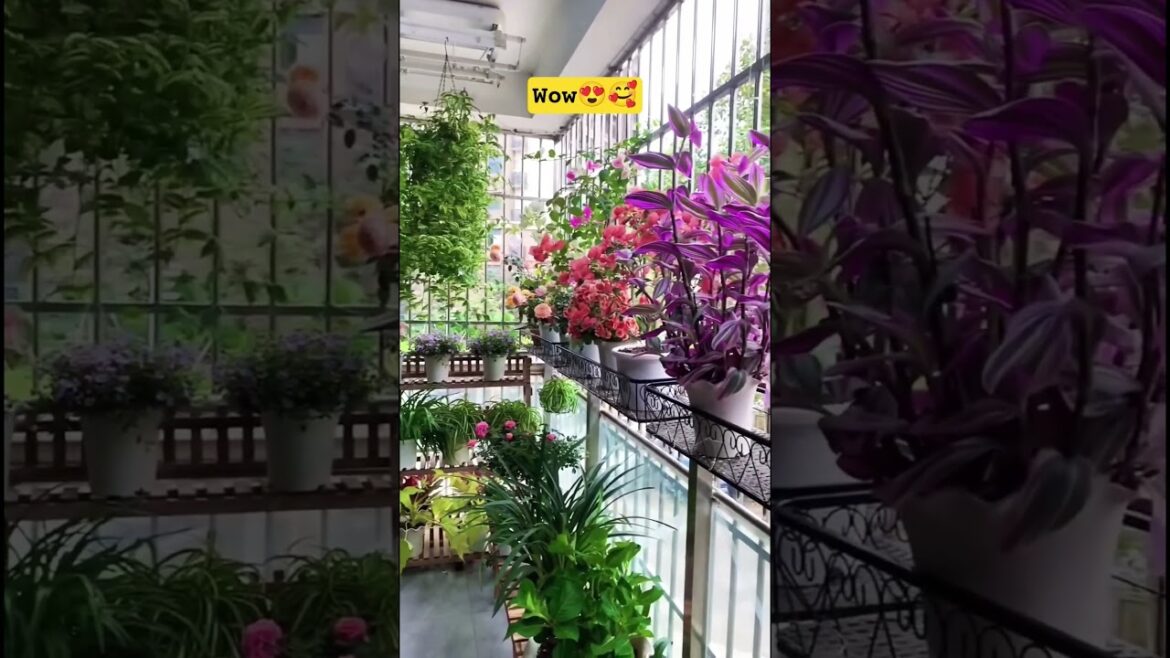 beautiful garden ☘️🌴😍 #plants #garden #naturephotography#naturelovers #homedecor #gardeningtips