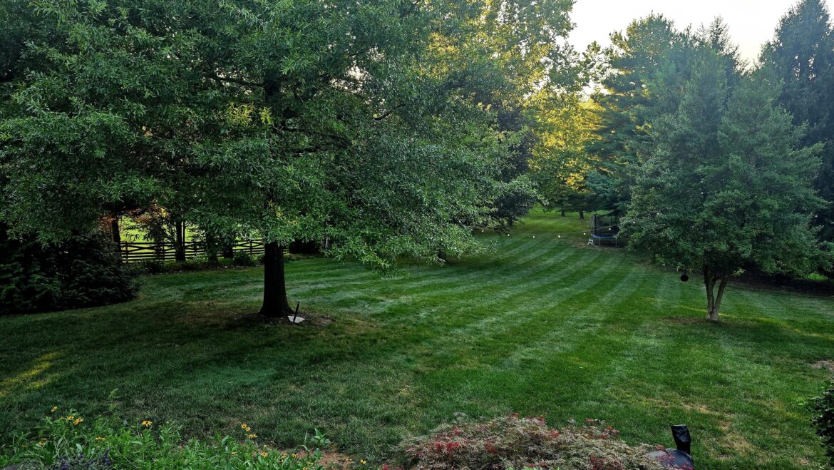 Still striping in 7A (Maryland)