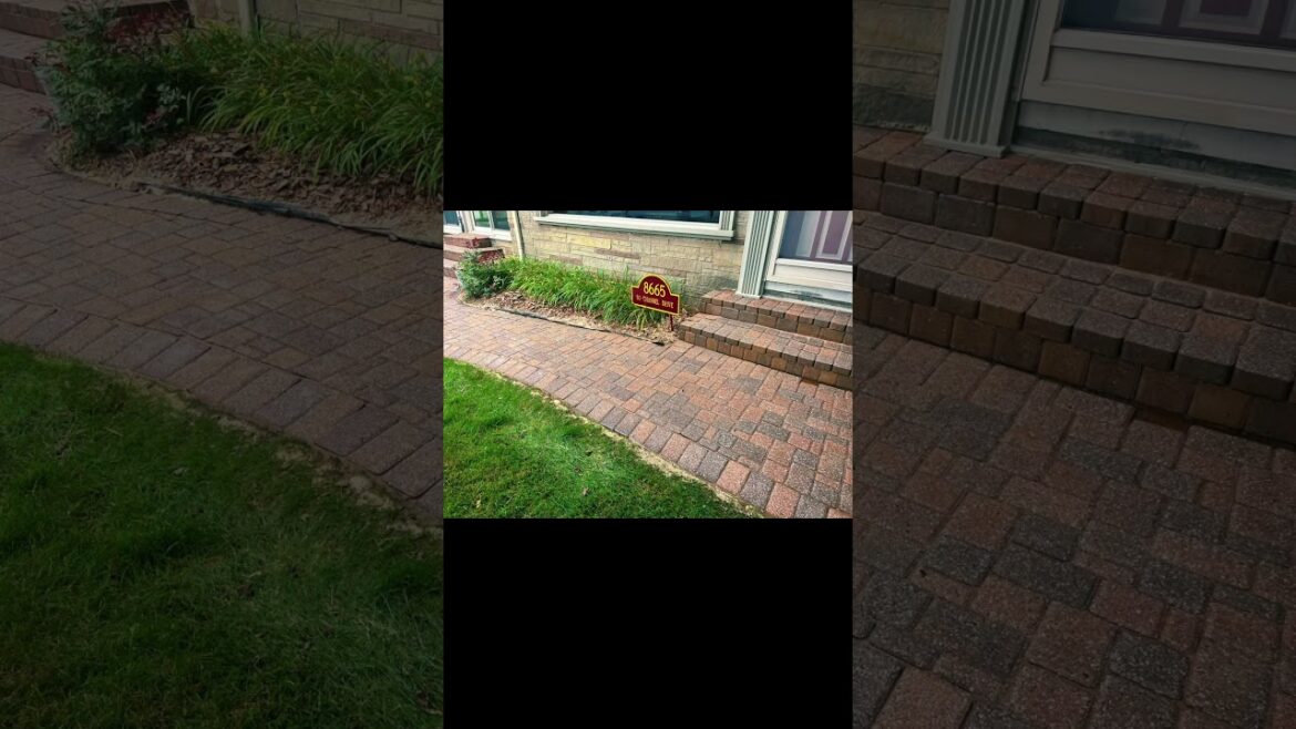 #music #hiphop #hardscape #restoration #sealing #outdoorwork #fyp #reels #shorts #viral #backyard