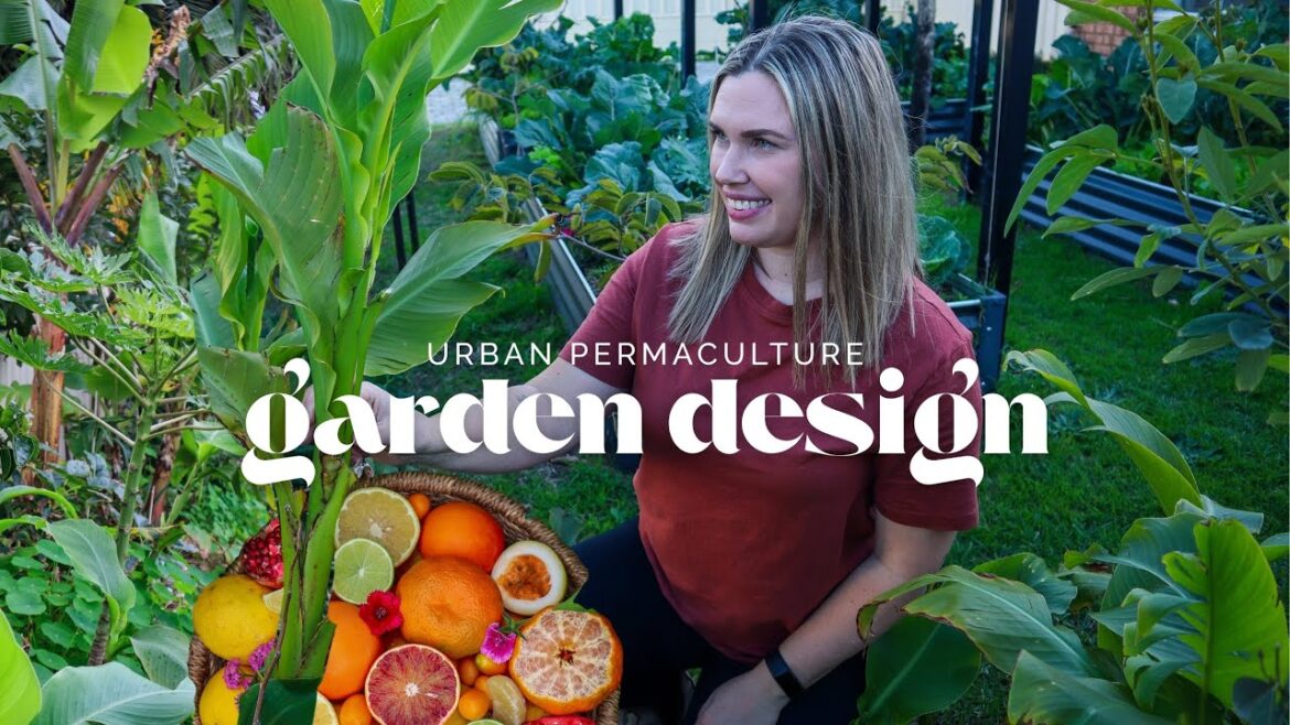 How I Design my Urban Permaculture Garden for High-density 🌿 extended walk-through/tour
