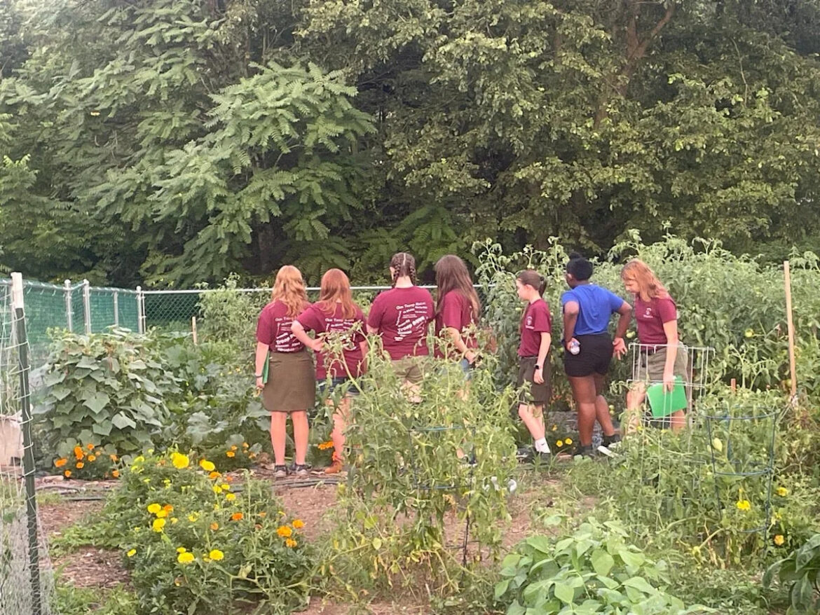 Local Scouts visit the Master Gardeners’ vegetable demo garden Yahoo news home
