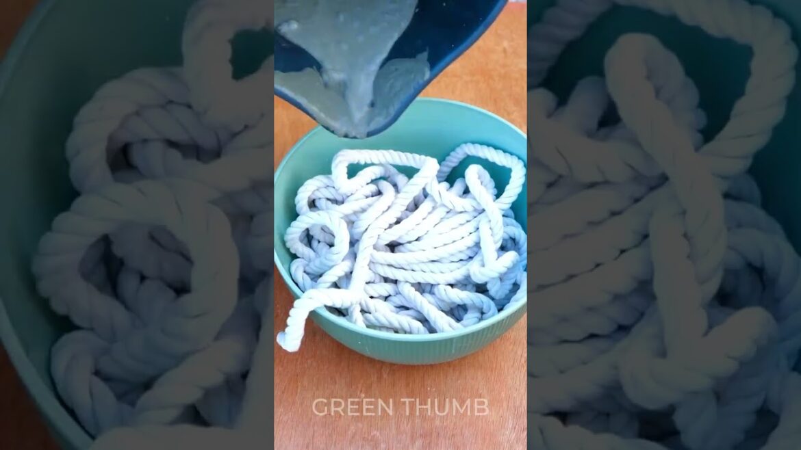 Plant Time-Lapse: Miniature Edible Garden Progression 🥕🌿