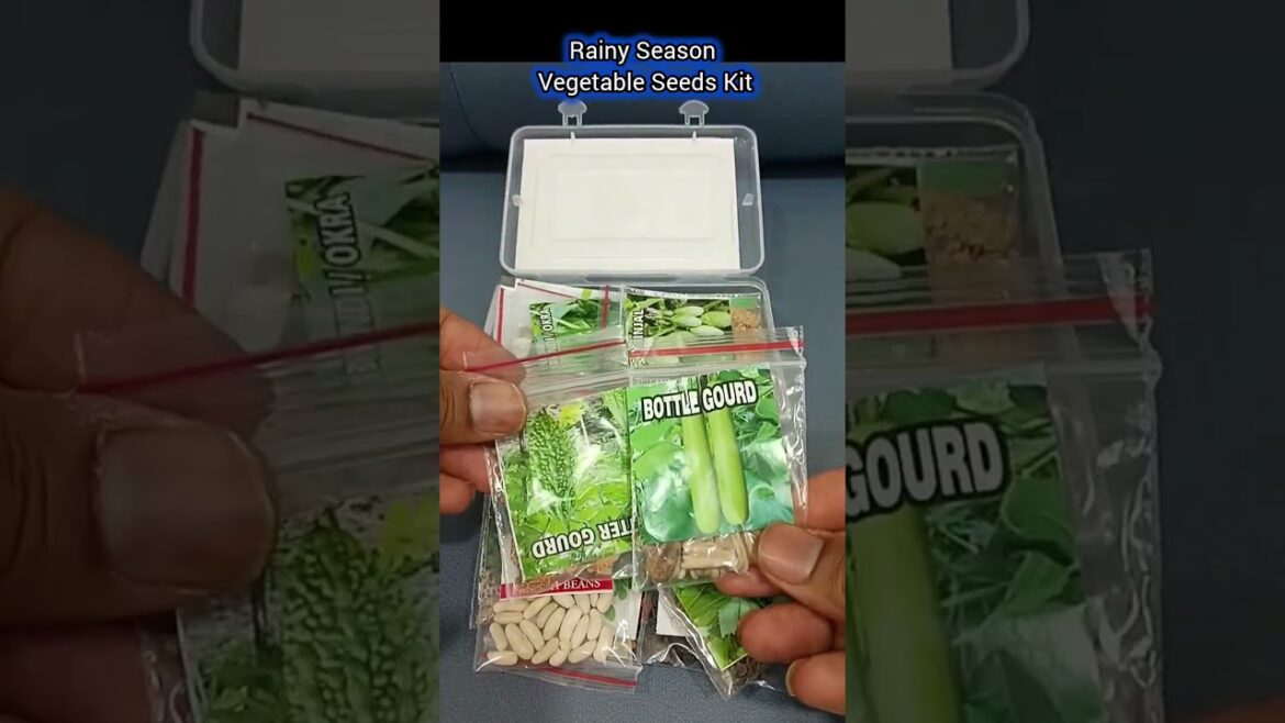 Rainy Season Vegetable Seeds Kit For Every Gardener | Rs 299/- | SeedBasket