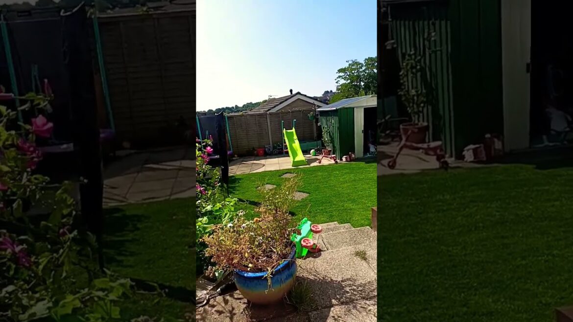 #gardendesign #garden #landscaping #sunshine #relazing ##chilling out