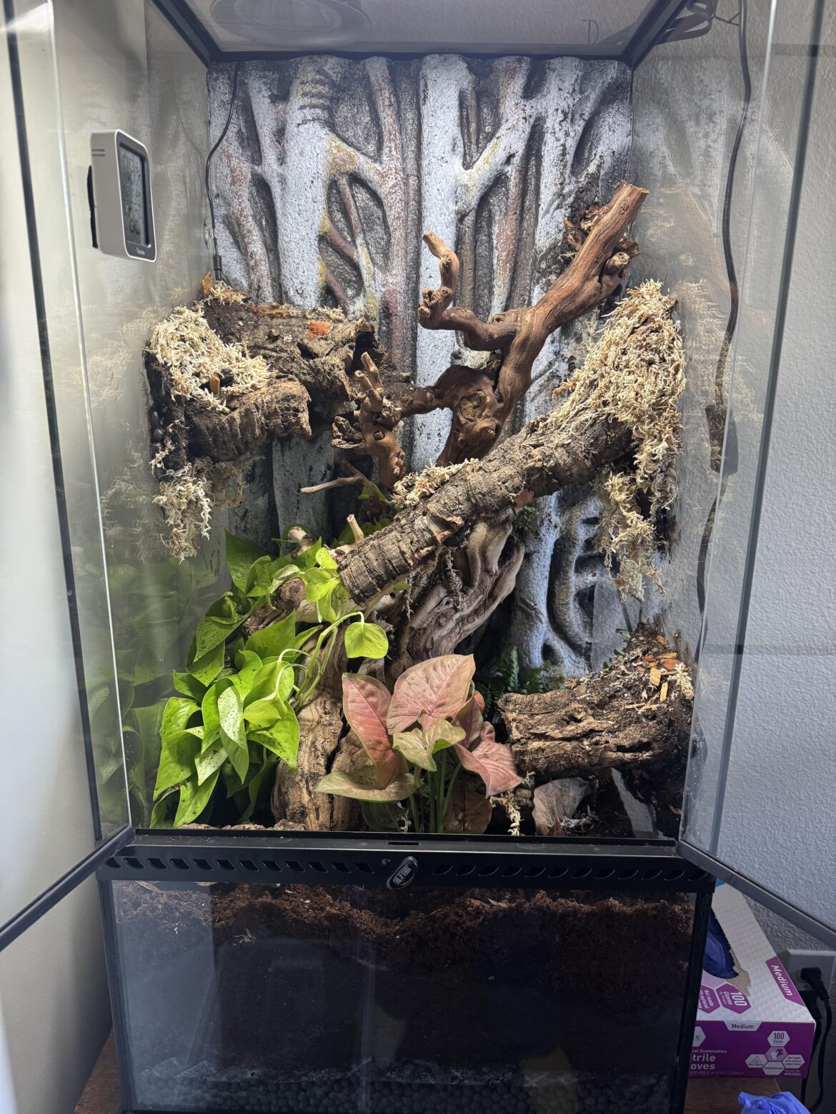 Design Advice for Increasing Foliage Design Advice for Increasing Foliage