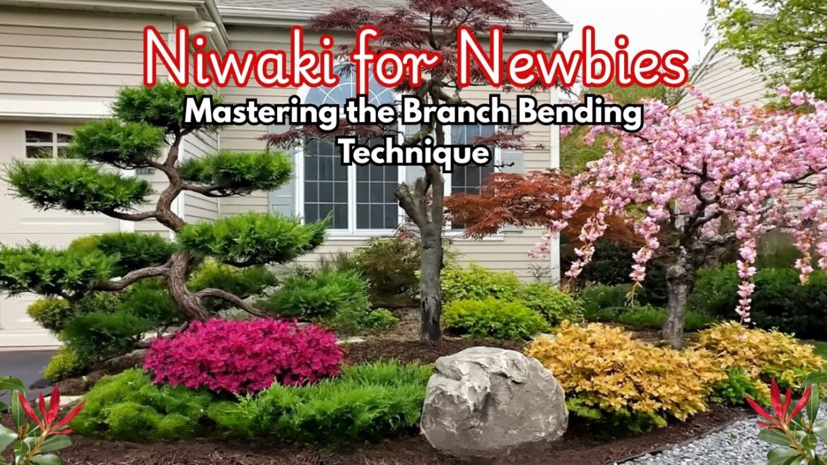 Japanese Garden Design Ideas for Niwaki: Step-by-Step Basics for Beginners! Pt. 3