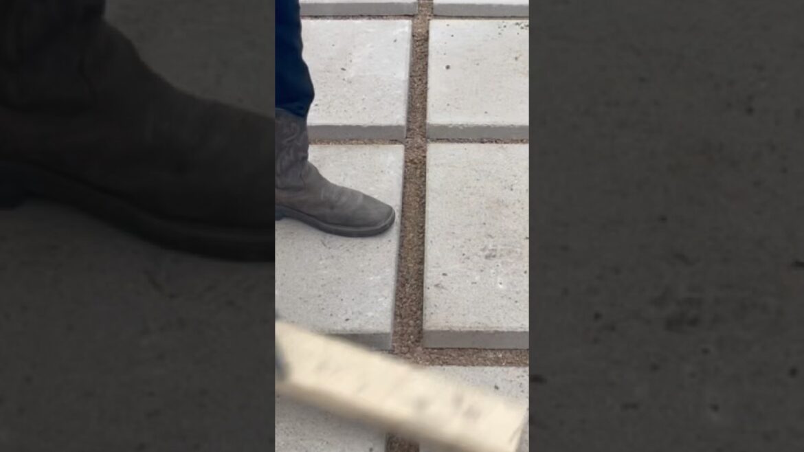 genius patio (@ growingedensgarden)