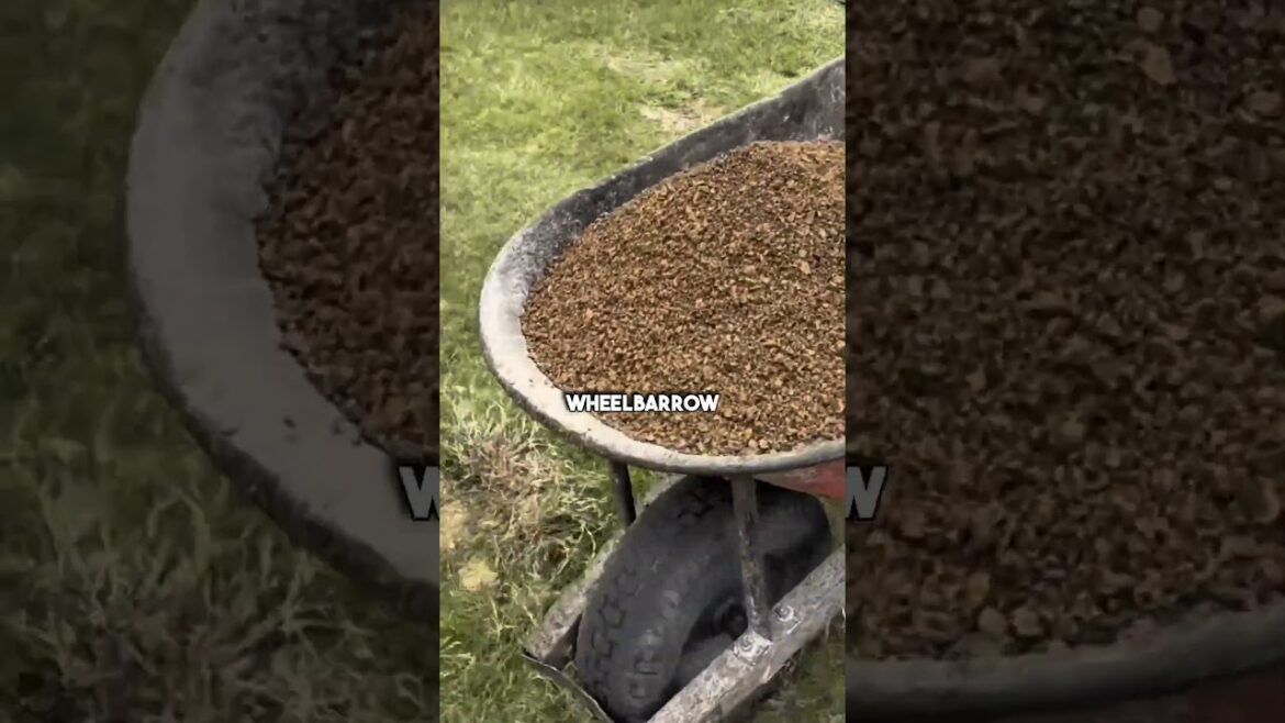 This Is GENIUS Backyard Transformation! #diy #garden #construction This Is GENIUS Backyard Transformation! #diy #garden #construction