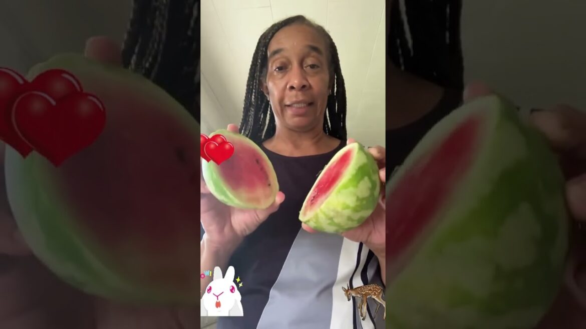 Growing Watermelon comes in all sizes! #Shorts #Fruit #Watermelon