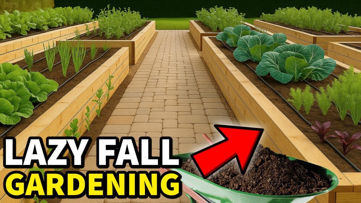How To Plant An EASY Lazy Fall Garden: VERY DETAILED! How To Plant An EASY Lazy Fall Garden: VERY DETAILED!