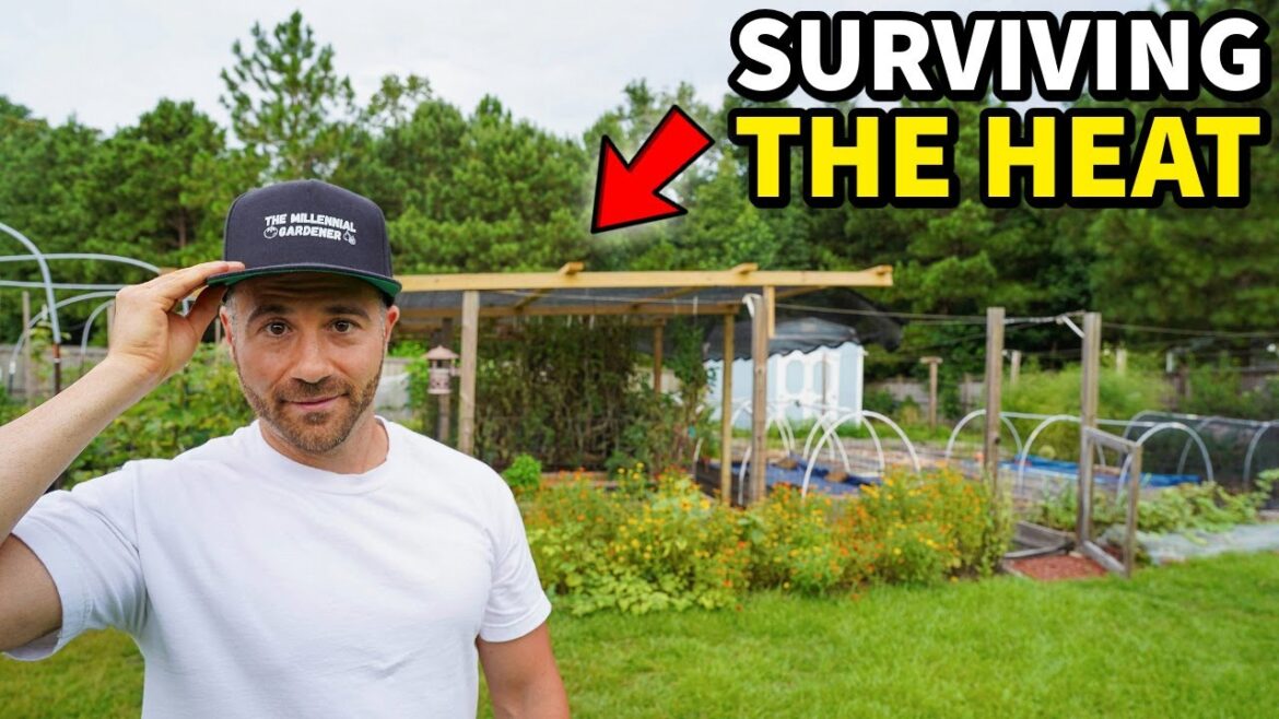 The ONLY Way I Manage Gardening In Extreme Heat The ONLY Way I Manage Gardening In Extreme Heat