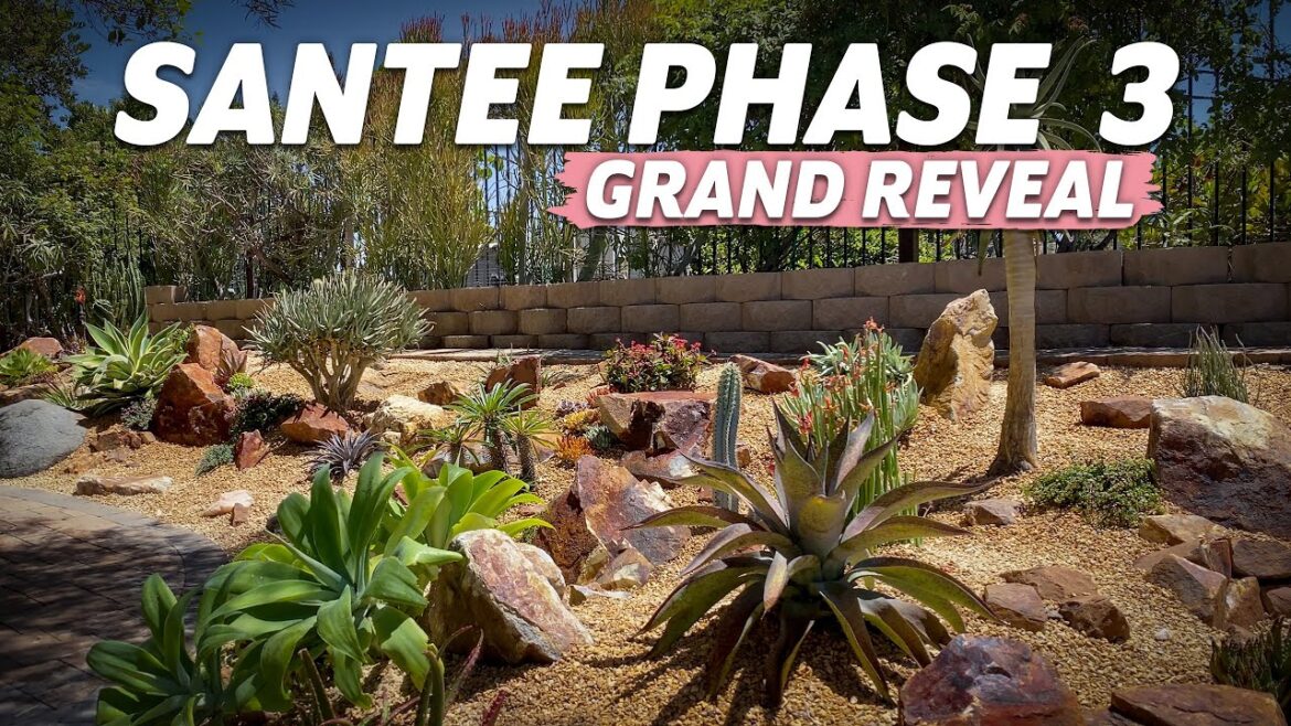 Santee Phase 3 - The Grand Reveal!