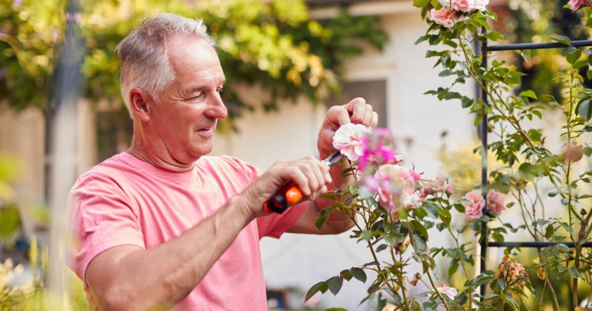 ‘I moved from America to the UK and gardening is so different in Britain’ Ipso logo