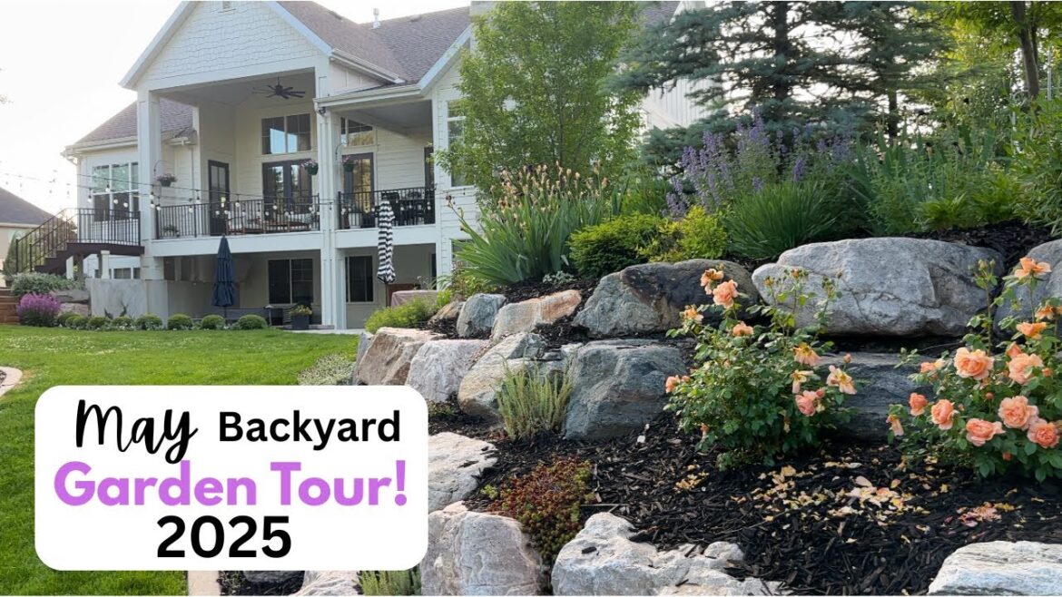 May Backyard Garden Tour ! 2025 May Backyard Garden Tour ! 2025
