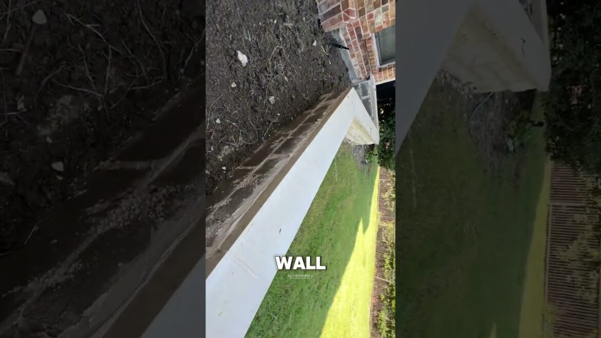 Raised beds! Raised beds!