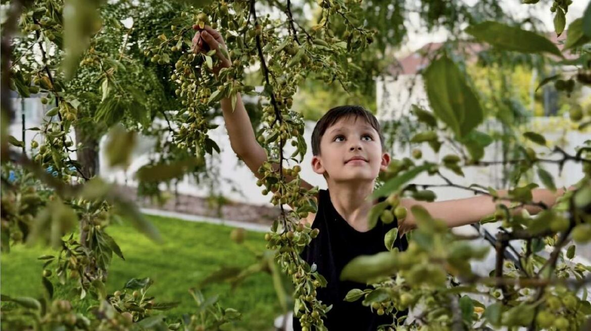 Meet Utah’s 9-year-old plant whisperer Meet Utah's 9-year-old plant whisperer