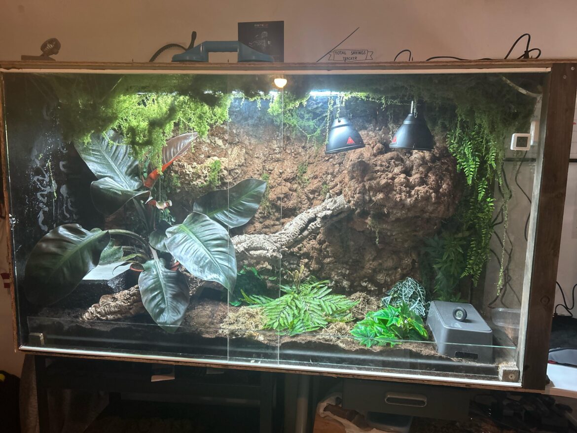Homemade vivarium