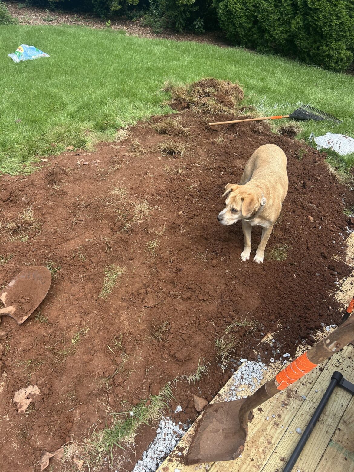 How do I get the dirt off the grass without ruining the grass to much? How do I get the dirt off the grass without ruining the grass to much?