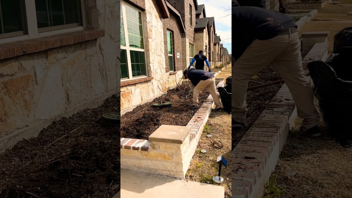 Transform Your Front Yard Into a Spring Paradise !#frontyardgardenupdate #youtubeshorts Transform Your Front Yard Into a Spring Paradise !#frontyardgardenupdate #youtubeshorts