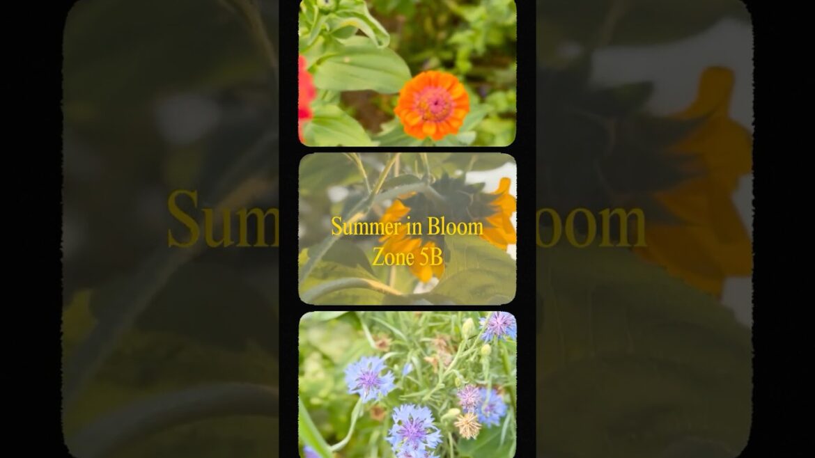 Zone 5b Garden with Flowers, Bees, and Butterflies | Pollinator-Friendly Backyard #gardening #zone5b Zone 5b Garden with Flowers, Bees, and Butterflies | Pollinator-Friendly Backyard #gardening #zone5b