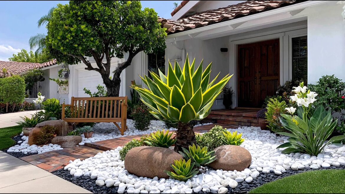 16 Beautiful & Budget Friendly-Zero Maintenance Small Front Yard Garden Ideas 2025