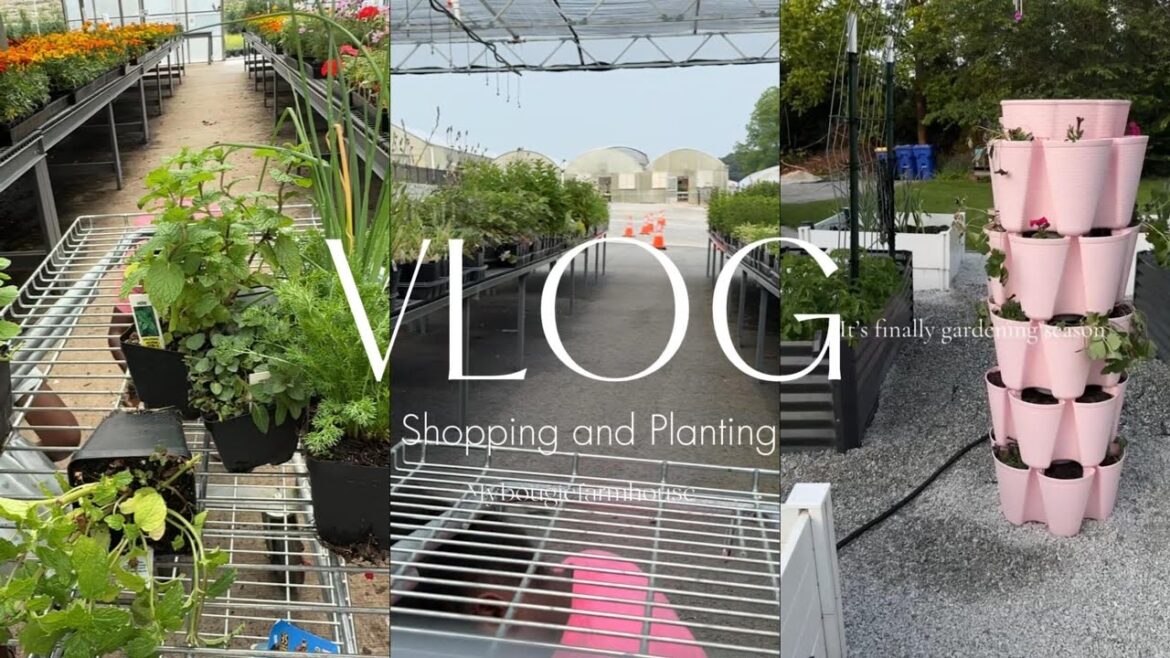 Plant With Me! Tomato Starts + Garden Supply Haul | Bougie Garden Diaries Ep. 5