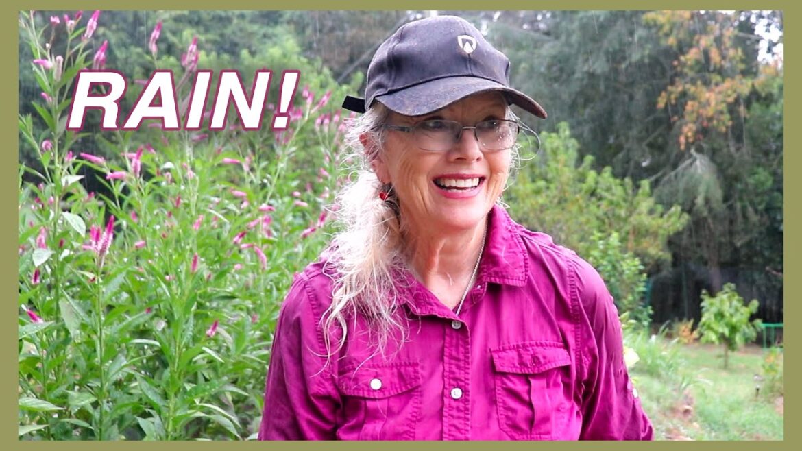 Kaye Kittrell: Then the Rain Came! Then the Rain Came!