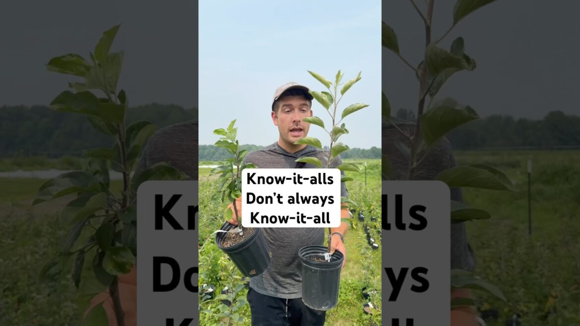 When You Have Nothing to Lose - TRY It! #gardening #gardeningtips #garden #shorts