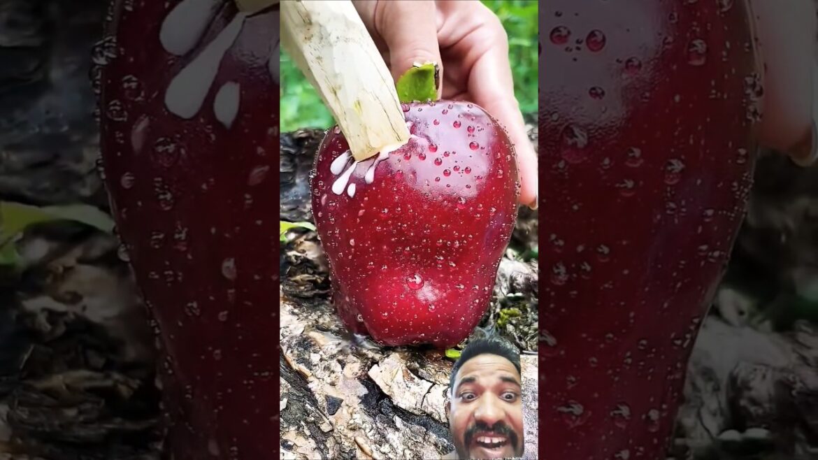 red apple fruits #fruit #fruitcutting #food #mango #gardening #fruitrees #indianfood #shorts red apple fruits #fruit #fruitcutting #food #mango #gardening #fruitrees #indianfood #shorts