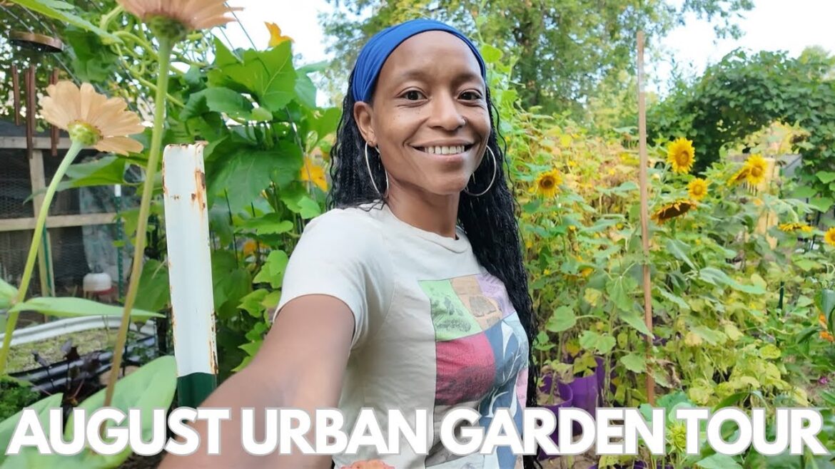 Full Urban Garden Tour + Fall Plans (Week 14) | Virginia, Zone 7B | (I’m Growing Watermelon) Full Urban Garden Tour + Fall Plans (Week 14) | Virginia, Zone 7B | (I'm Growing Watermelon)