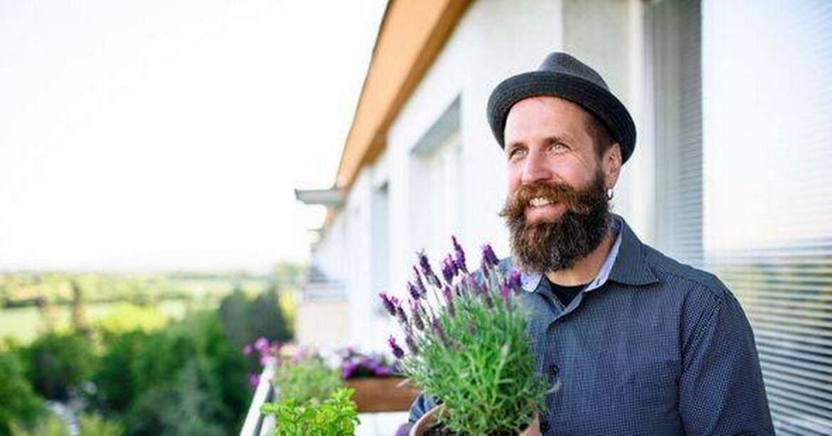 Gardening expert names one thing every Brit with a small space needs to know Ipso logo