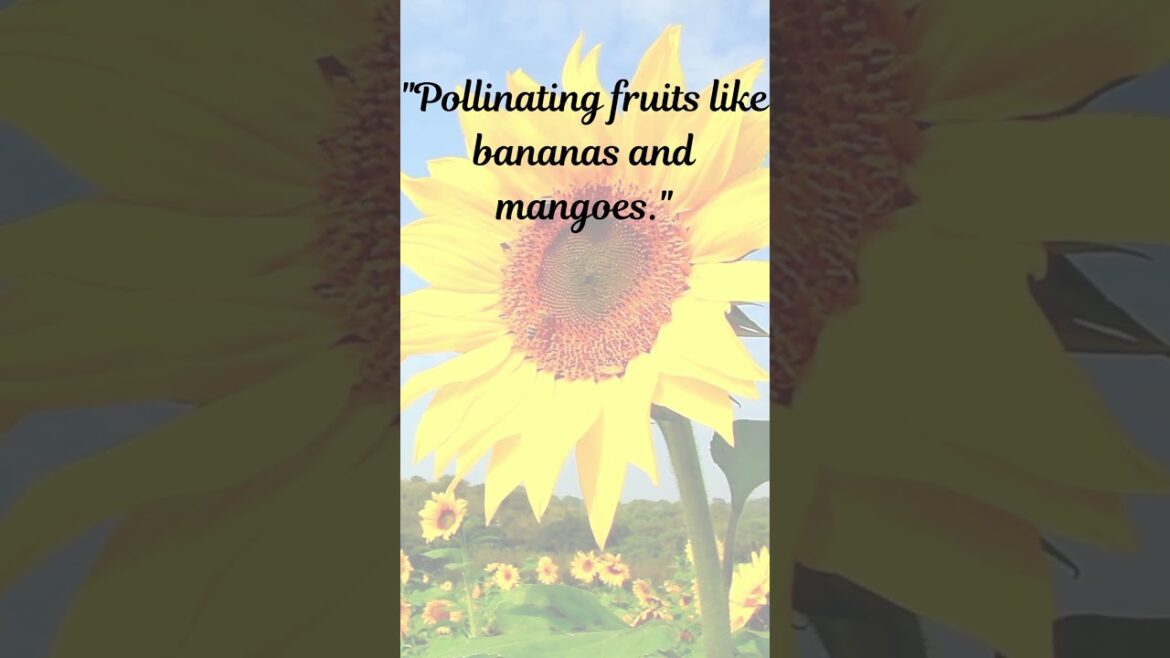 Nature's Heroes: 5 Surprising Pollinator Facts You Need to Know! #Shorts