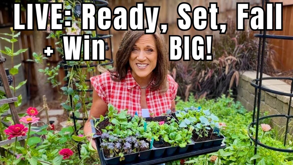 CaliKim: LIVE: Ready, Set, FALL GARDEN ! (+ HUGE Giveaway) LIVE: Ready, Set, FALL GARDEN ! (+ HUGE Giveaway)