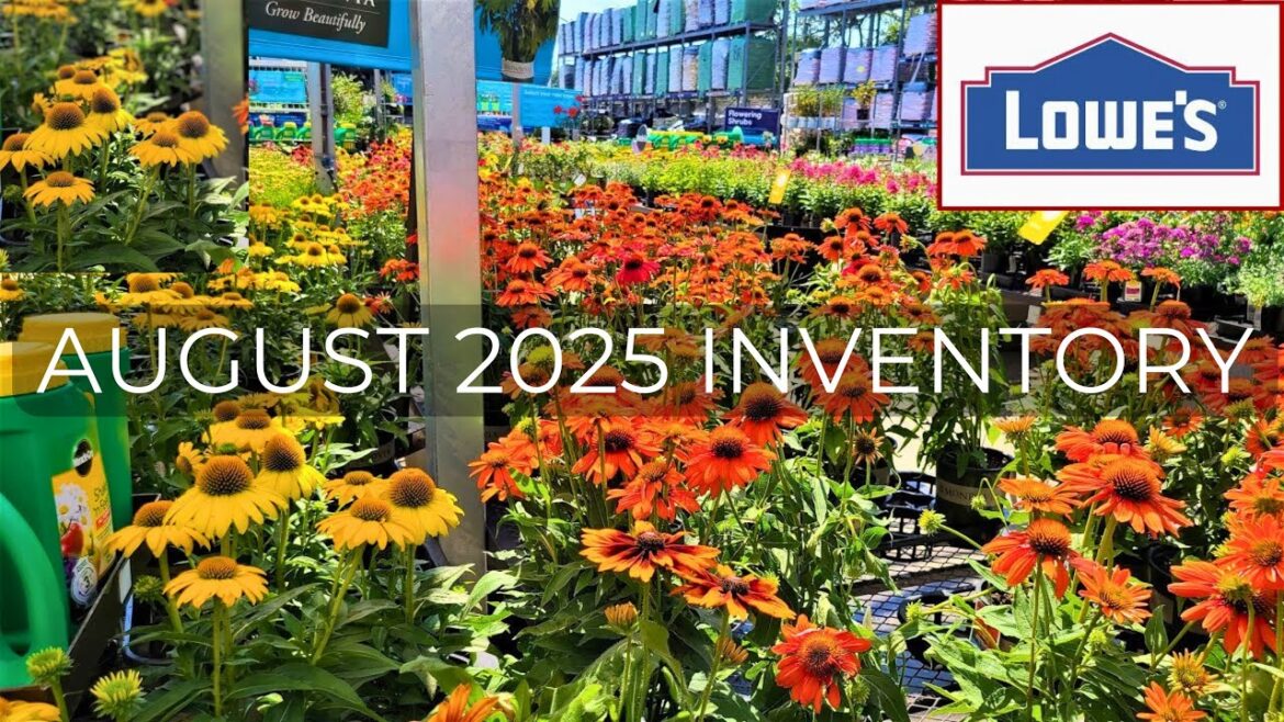 August Clearance at Lowe’s Garden Center | Late Season Plants!