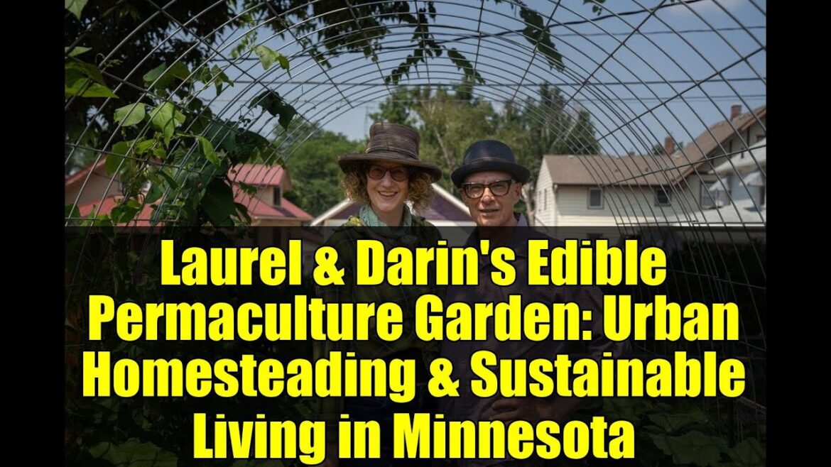 Laurel & Darin’s Edible Permaculture Garden: Urban Homesteading & Sustainable Living in Minnesota Laurel & Darin's Edible Permaculture Garden: Urban Homesteading & Sustainable Living in Minnesota