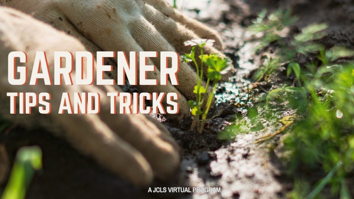 Gardener Tips and Tricks Gardener Tips and Tricks