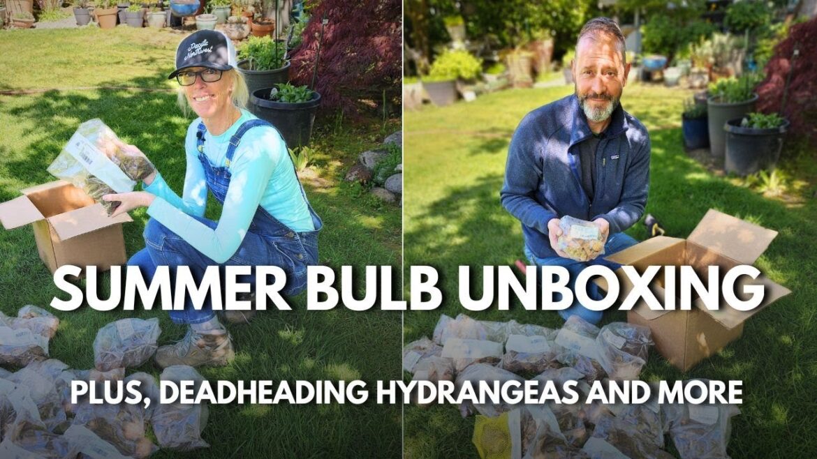 Spring Garden Maintenance Tips (GET READY FOR SUMMER!)