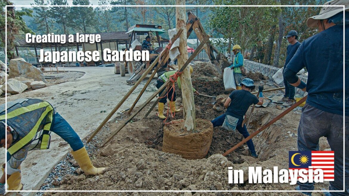 (Pro.66 - Ep.3) Planting! Professional Japanese Gardeners create a  garden in Malaysia