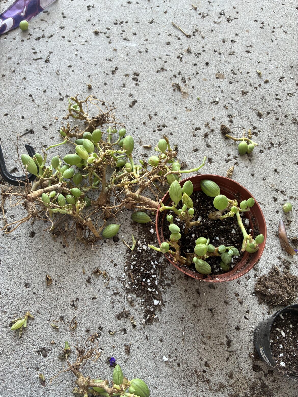 Can I save this?