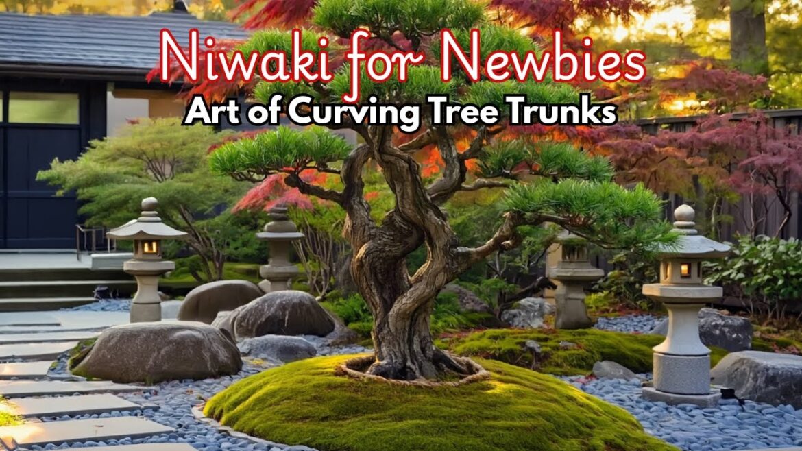 Japanese Garden Design Ideas for Niwaki: Step-by-Step Basics for Beginners! Pt. 2