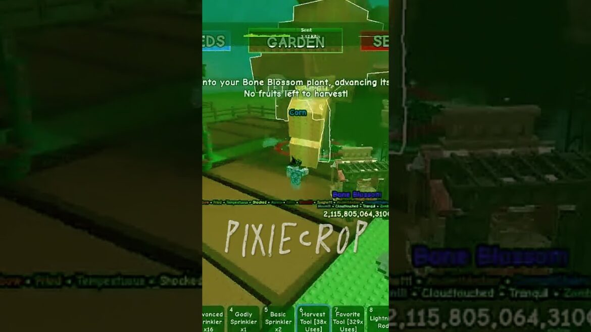 sub for raccoon #robloxshorts #giveaway #viral #growagarden #robloxshorts #robloxedit #roblox sub for raccoon #robloxshorts #giveaway #viral #growagarden #robloxshorts #robloxedit #roblox