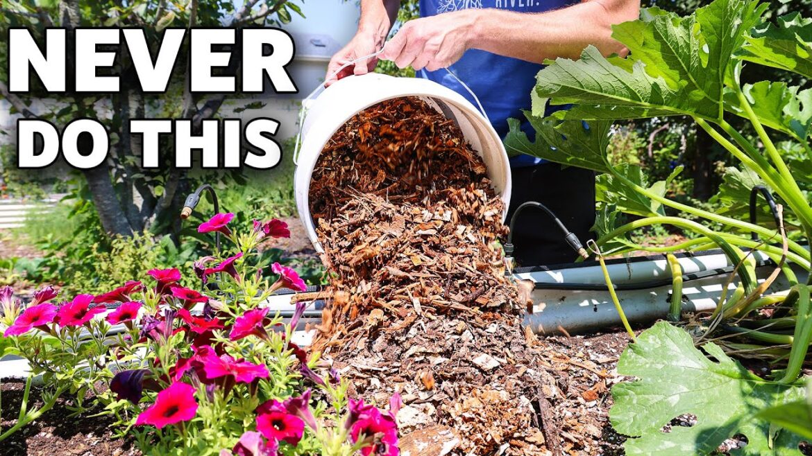 They Say NOT to do this… but does it work? (the truth about wood chips)