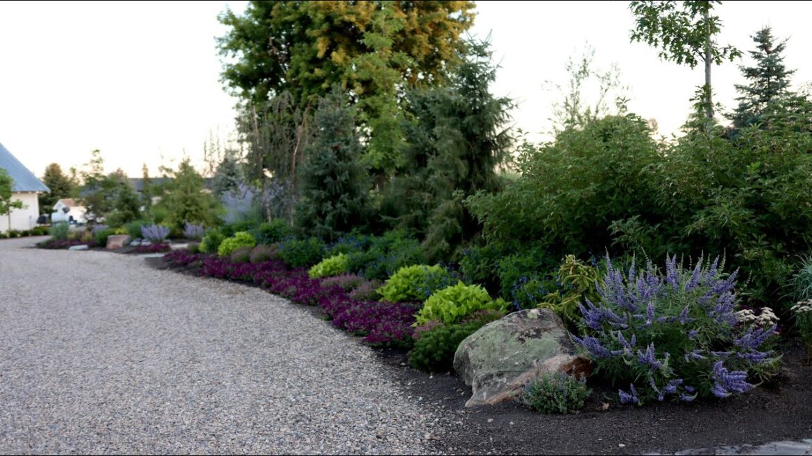 Garden Answer: Before and After of Our Pond Berm Planting! 🌿 Before and After of Our Pond Berm Planting! 🌿